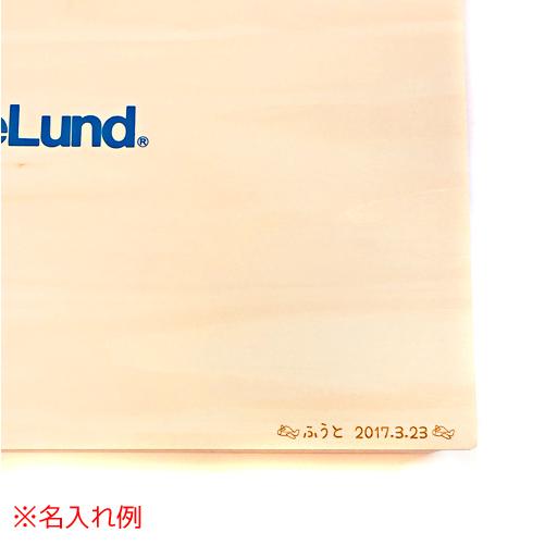 未使用品✨️BorneLund 木製　積み木　無垢材　無塗装品 ボーネルンド（Bornelund） 【ボーネルンド公認店】 積み木 日本製