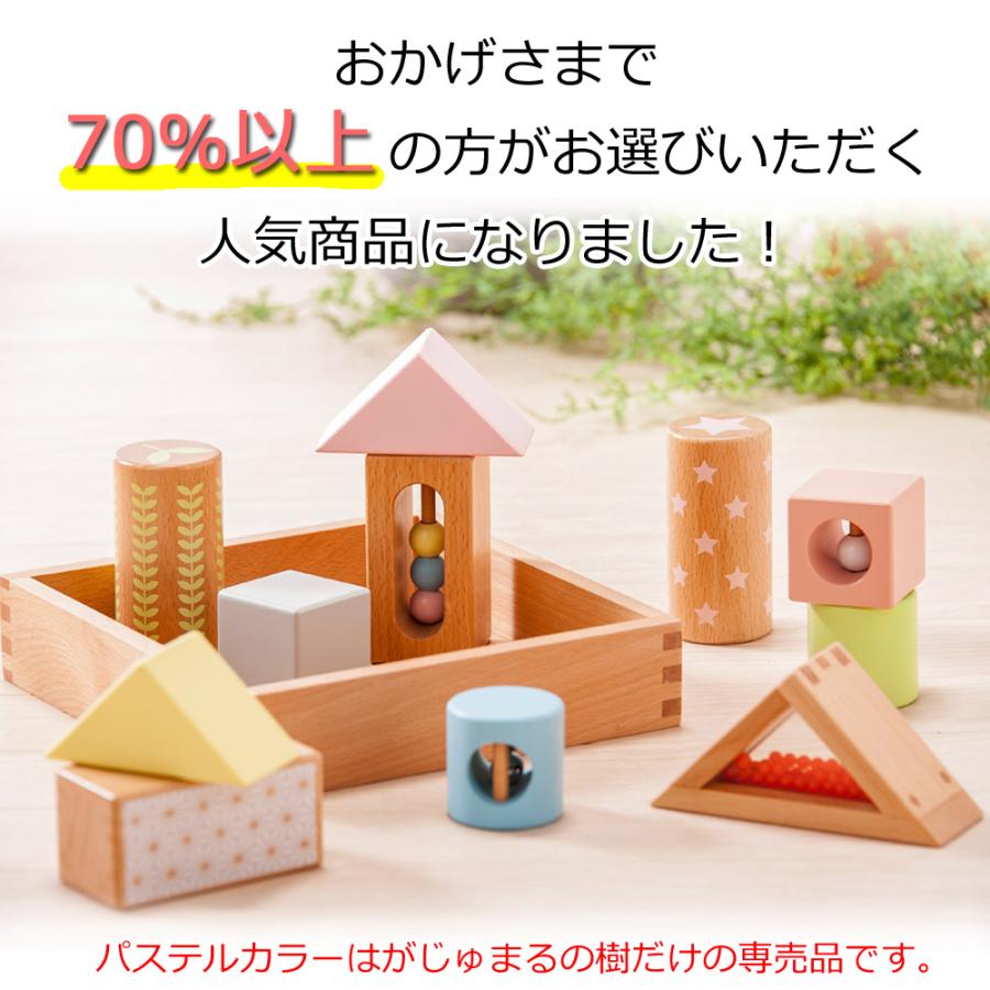 エド・インター（Ed・Inter） 【レビュー特典あり】 積み木 音が鳴る