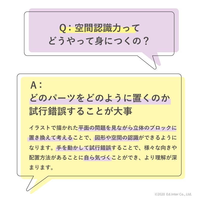 ラッピング無料 賢人パズル エドインター 立体パズル 積み木 木のおもちゃ 知育玩具 1歳 2歳 3歳 脳トレ | エド・インター | 10
