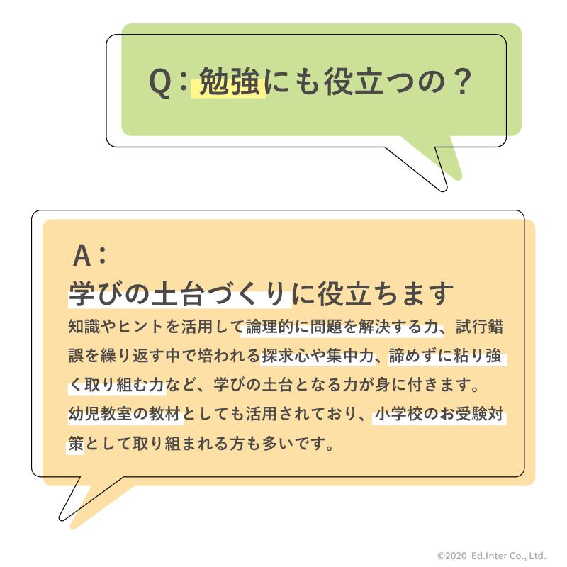 ラッピング無料 賢人パズル エドインター 立体パズル 積み木 木のおもちゃ 知育玩具 1歳 2歳 3歳 脳トレ | エド・インター | 11