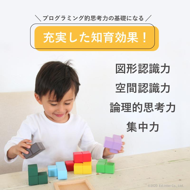 ラッピング無料 賢人パズル エドインター 立体パズル 積み木 木のおもちゃ 知育玩具 1歳 2歳 3歳 脳トレ | エド・インター | 08