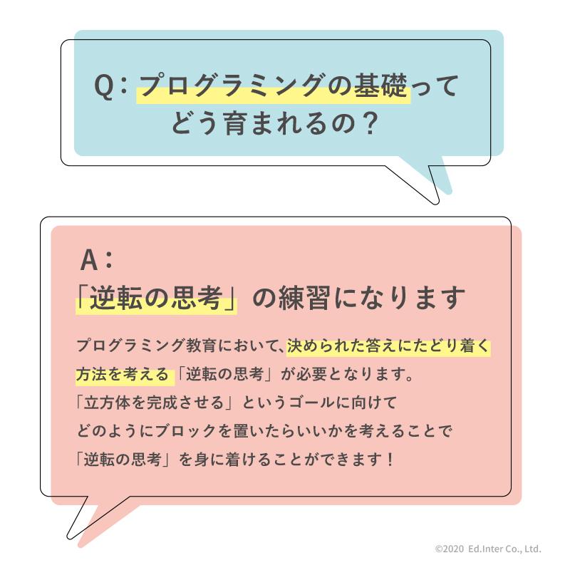 ラッピング無料 賢人パズル エドインター 立体パズル 積み木 木のおもちゃ 知育玩具 1歳 2歳 3歳 脳トレ | エド・インター | 09