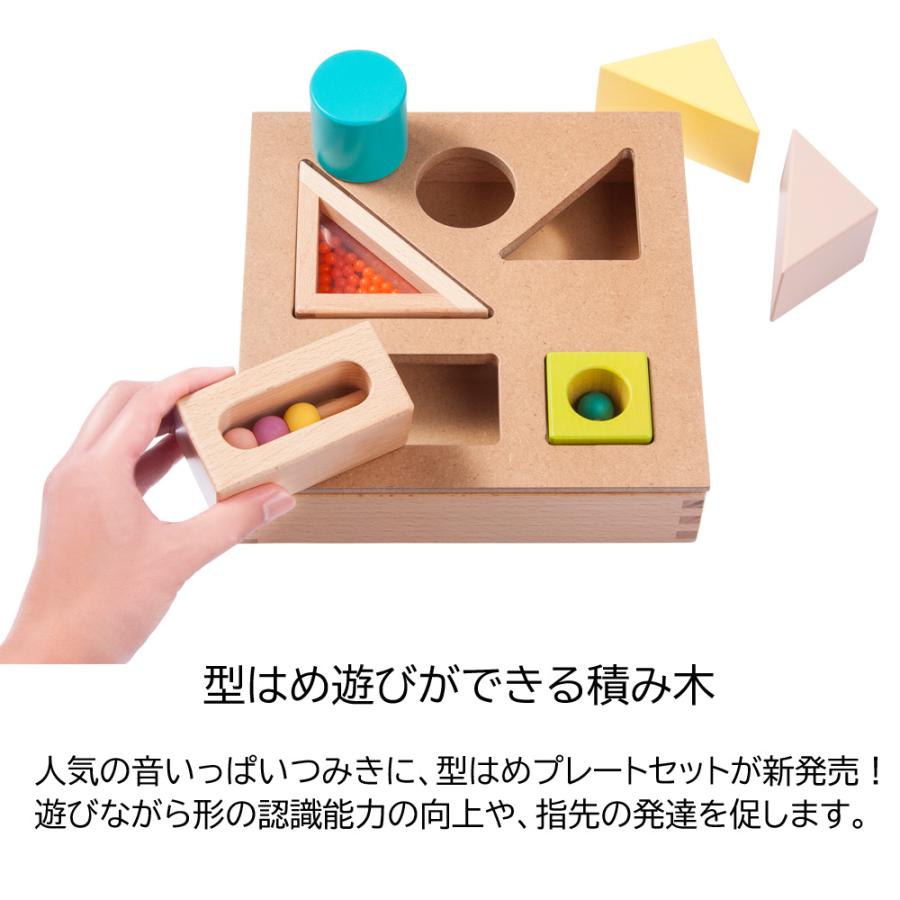 エド・インター 木製 知育玩具 音いっぱいつみき 型はめセット