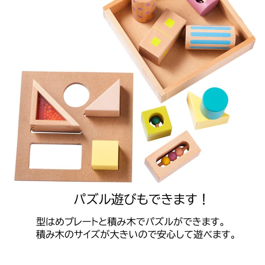 エド・インター（Ed・Inter） 木製 知育玩具 音いっぱいつみき 型はめ