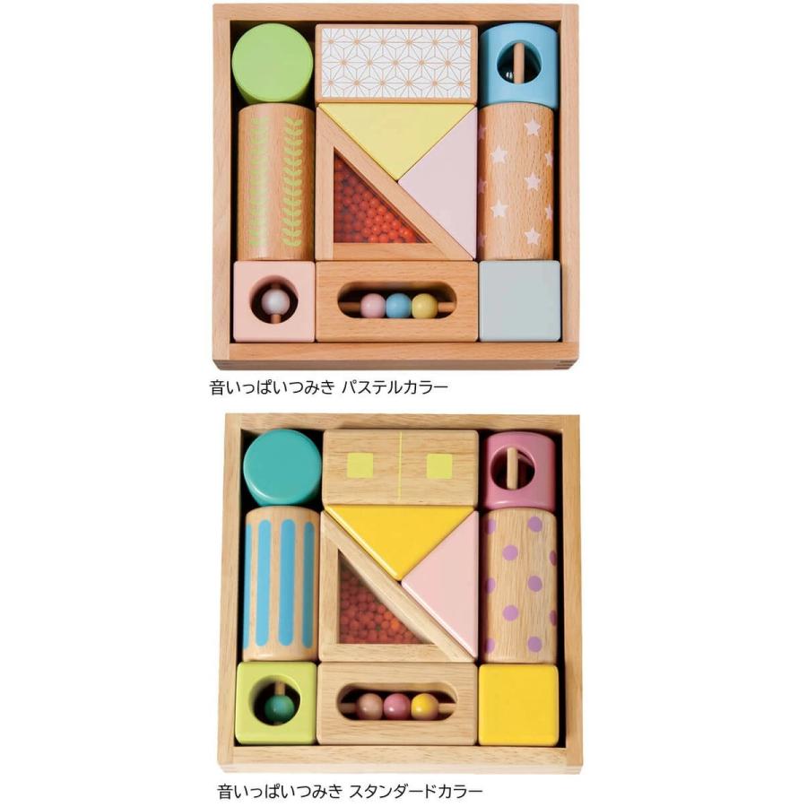 エド・インター（Ed・Inter） 木製 知育玩具 音いっぱいつみき 型はめ