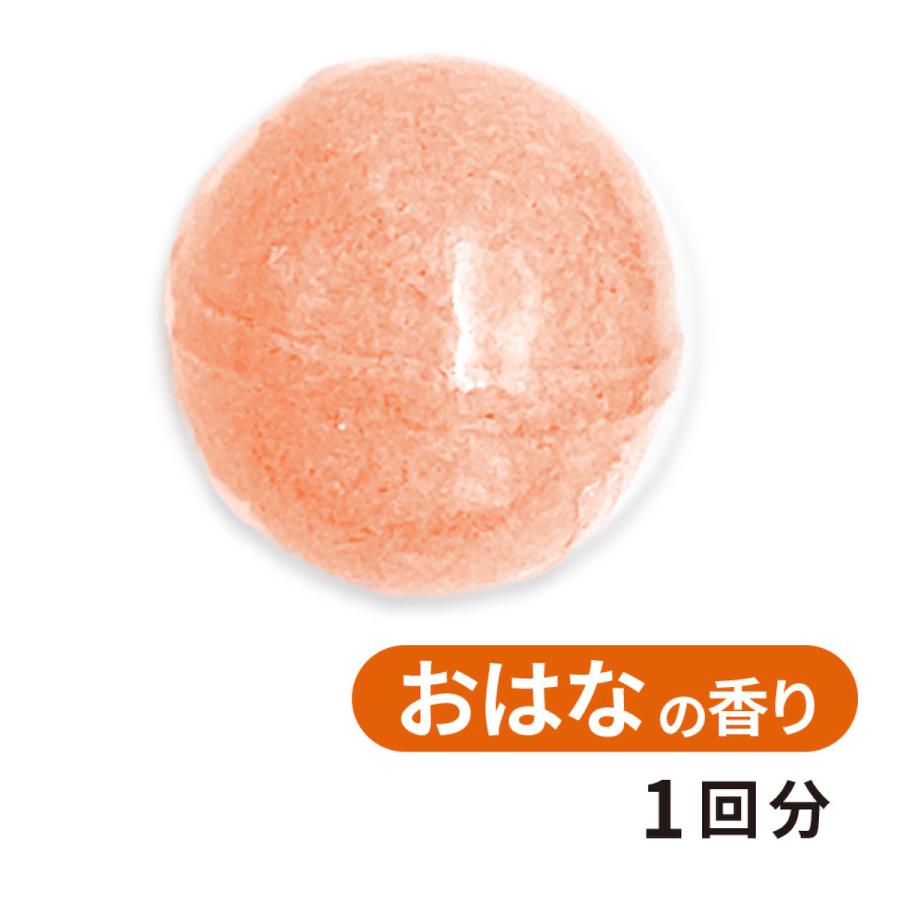 学研 公式 レオレオニ バスボール ６歳以上 83085 フレデリック スイミー カメレオン ウィリー 入浴剤 お風呂 入浴 バス グッズ  雑貨 |  | 03