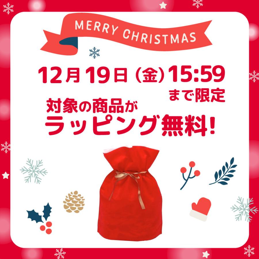 学研ステイフル 期間限定20％OFF！ ラッピング 無料！学研 公式 木製