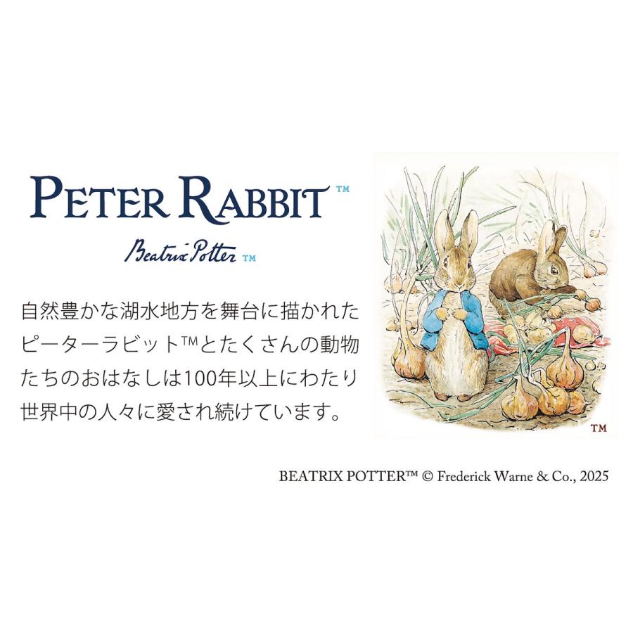 2026年カレンダー ピーターラビット 2026年版 壁掛け AM15038 文房具