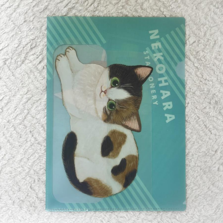 学研ステイフル 学研 公式 ねこハラ文具 A4 ポケット ファイル