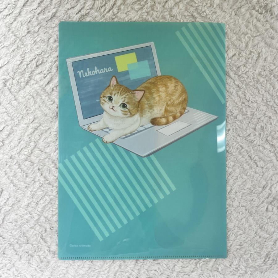 学研ステイフル 学研 公式 ねこハラ文具 A4 ポケット ファイル