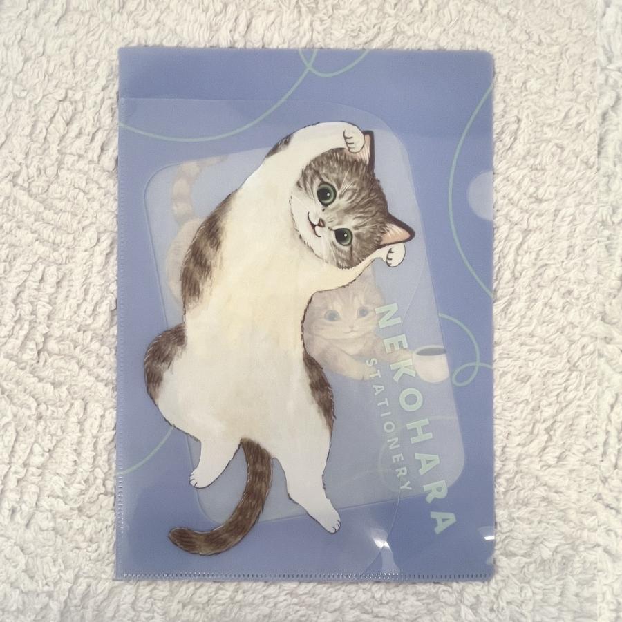 学研 公式 ねこハラ文具 Ａ４ ポケット ファイル ブルー グレー グリーン ピンク ねこグッズ 愛猫 ねこ 文具 文房具 筆記用具 キャラクター 雑貨 | 学研ステイフル | 05