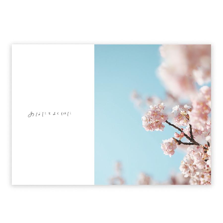 学研 公式 メッセージブック メッセージカード メッセージ  Thank you! ありがとう ソーダ E10084 もなみん 感謝 サンキュー プレゼント 学研ステイフル | 学研ステイフル | 03