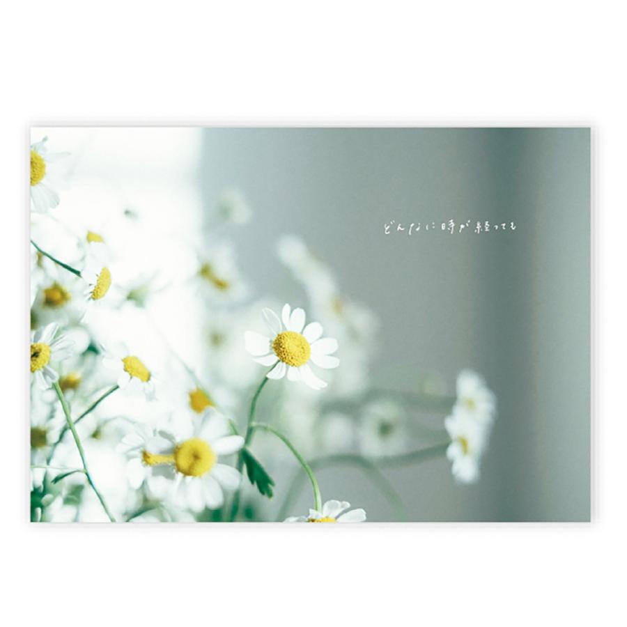 学研 公式 メッセージブック メッセージカード メッセージ  Thank you! ありがとう ソーダ E10084 もなみん 感謝 サンキュー プレゼント 学研ステイフル | 学研ステイフル | 05