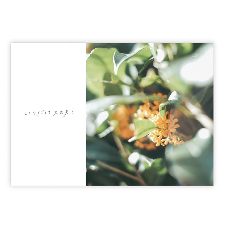 もか＠取引メッセージ不要 メルカリの取引メッセージ＆コメントで書いてはいけないこと！ 注意点