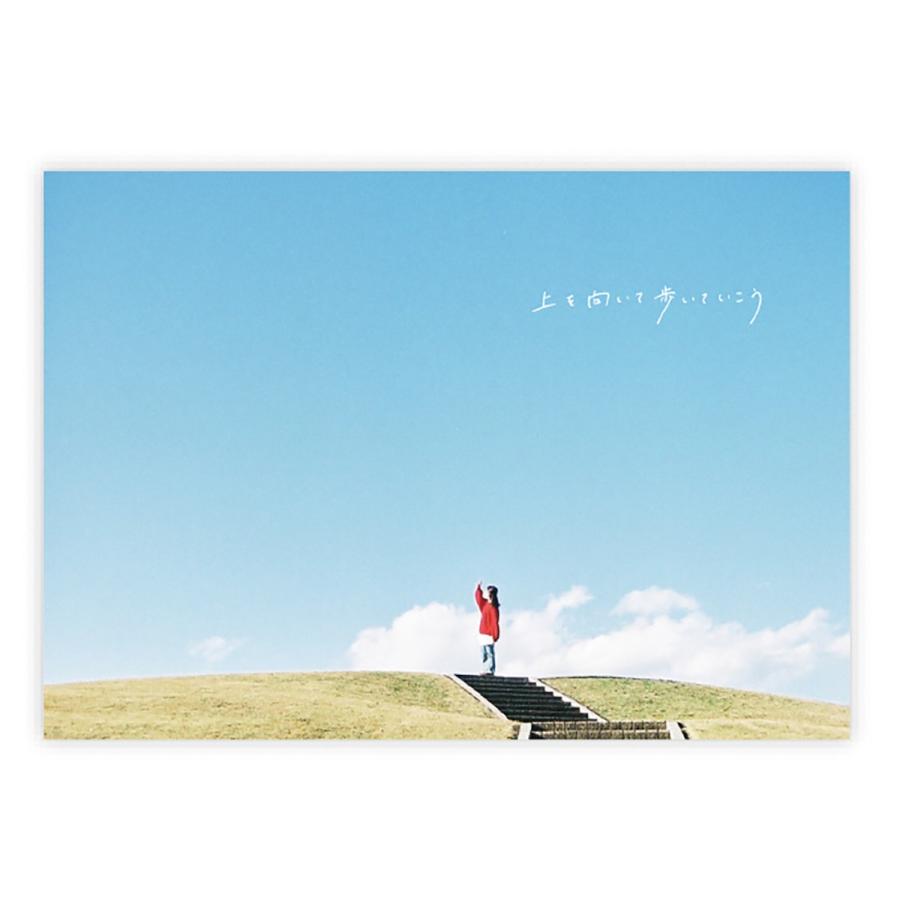 ＊＊メッセージ用＊＊ メッセージカード シンプル |ポールスタア公式オンラインショップ 天然