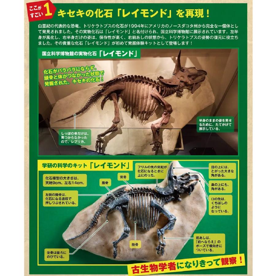 学研 公式 恐竜 化石 発掘 キット 自由研究 夏休み 小学生 工作 手作り