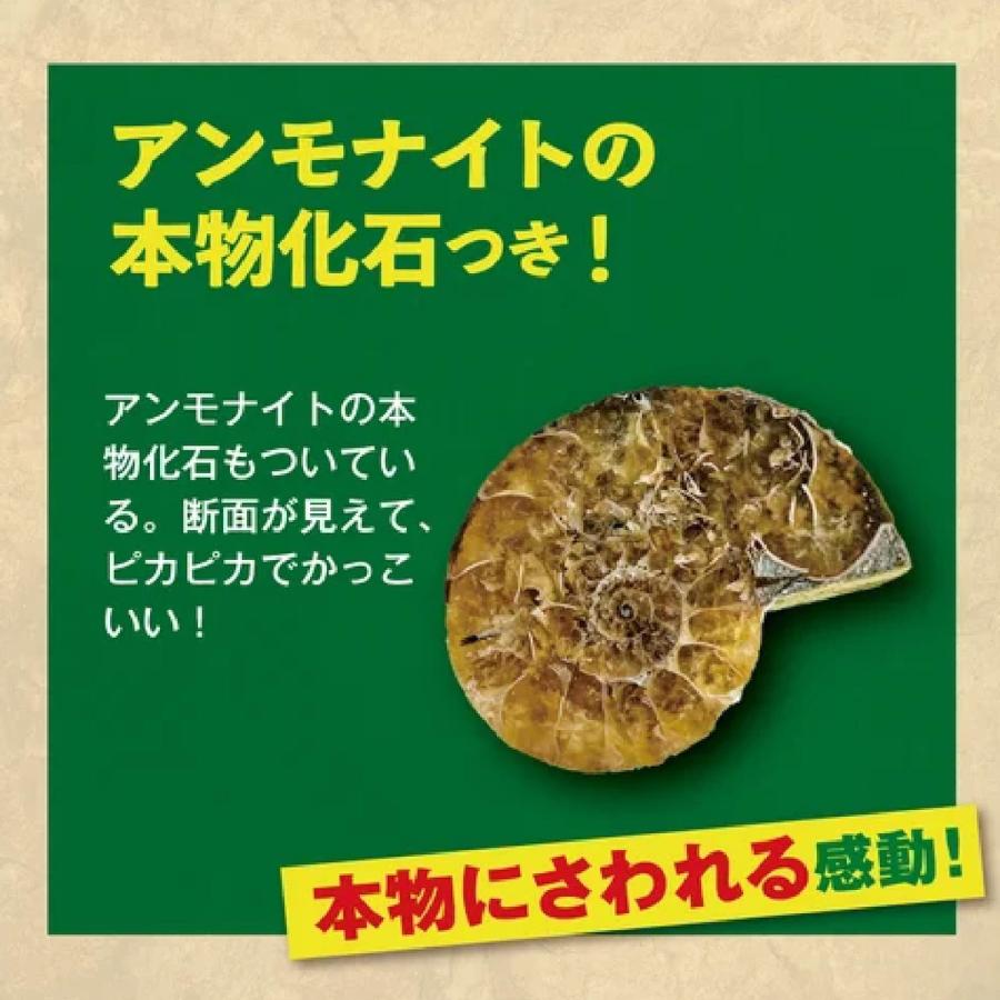 学研 公式 恐竜 化石 発掘 キット 自由研究 夏休み 小学生 工作 手作り