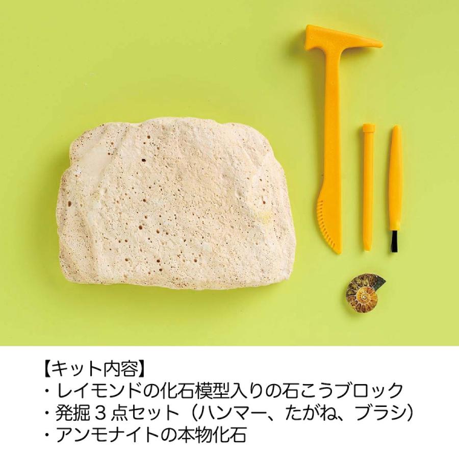 学研 公式 恐竜 化石 発掘 キット 自由研究 夏休み 小学生 工作 手作り