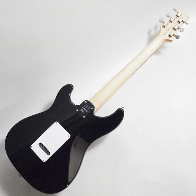 Paul Reed Smith（ポールリードスミス） PRS SE Silver Sky Rosewood