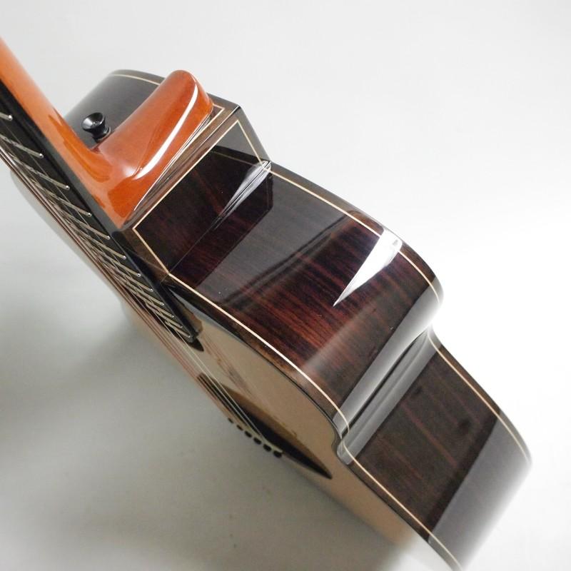 aNueNue Future Series aNN-LS770 アコースティックギター〈アヌエヌエ