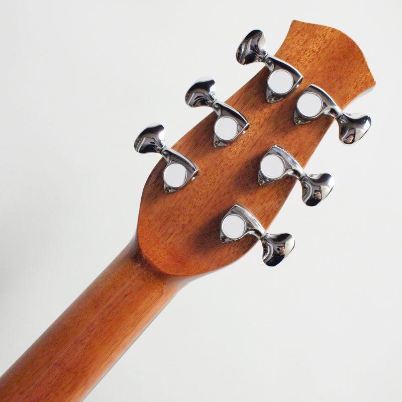 aNueNue aNN-LF23E センターホール仕様 エレアコ〈アヌエヌエ〉 : 楽器