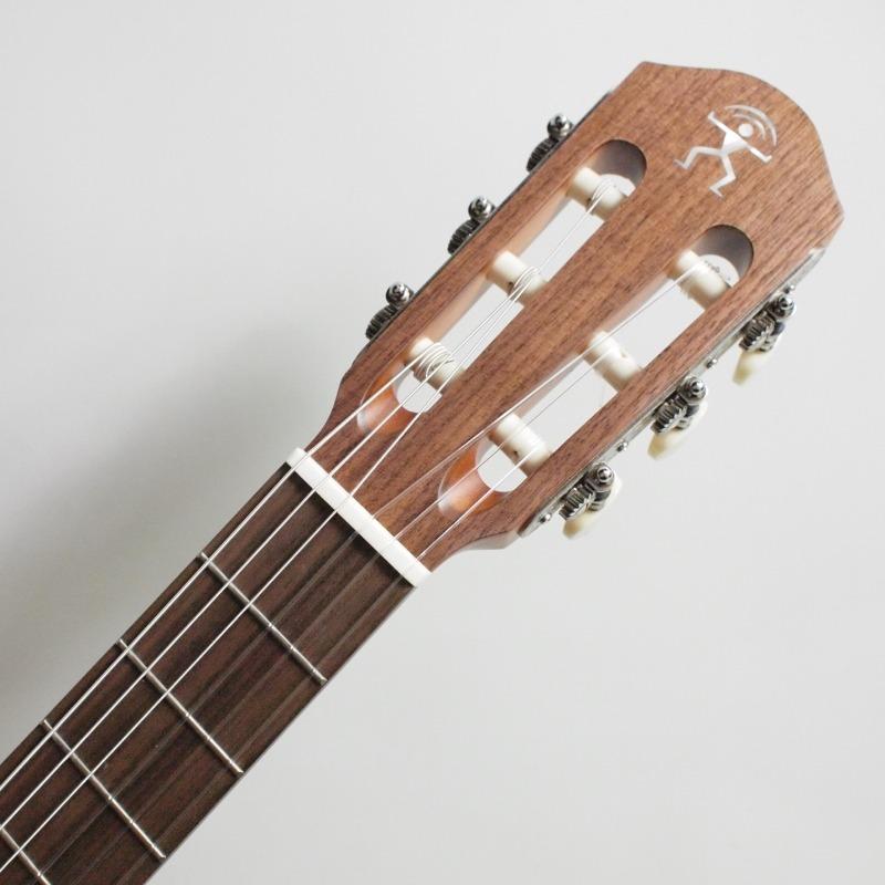 aNueNue Bird Guitar Series aNN-MCN10E FJE ナイロン弦モデル