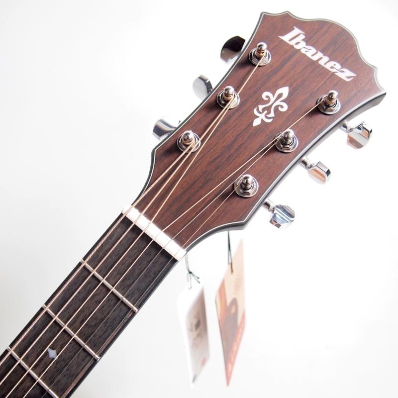 Ibanez（アイバニーズ） Ibanez AE100-DBF Dark Tide Blue エレアコ