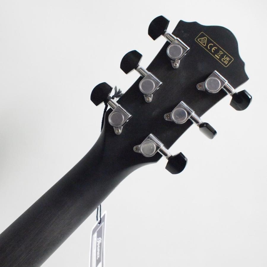 Ibanez（アイバニーズ） Ibanez AEWC400-TKS Transparent Black
