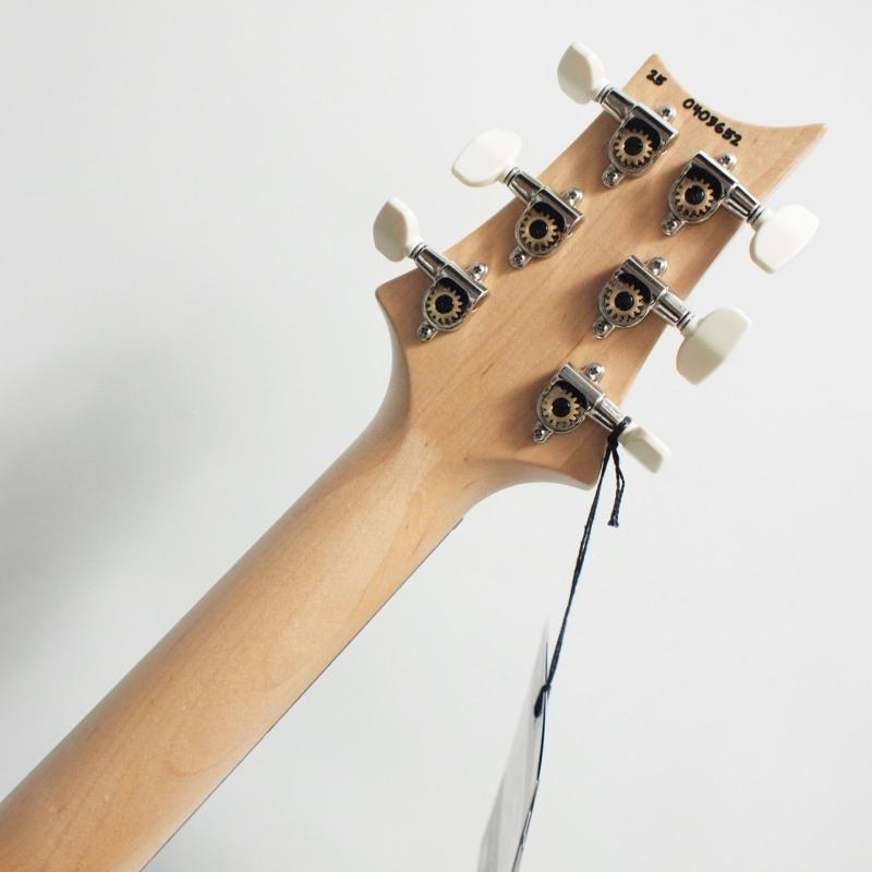 Paul Reed Smith（ポールリードスミス） PRS Paul Reed Smith Swamp