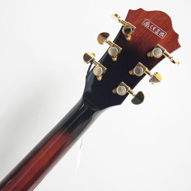 Ibanez（アイバニーズ） Ibanez AS93QMSP-DBS (Dark Brown Sunburst