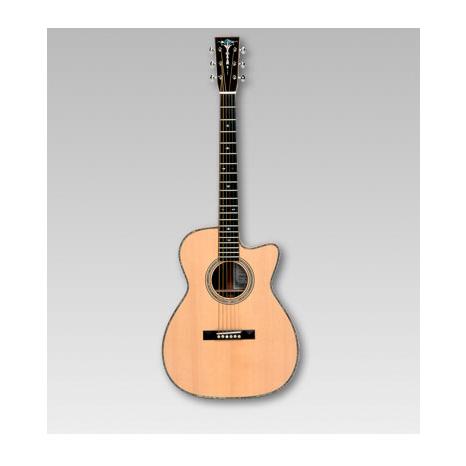 ASTURIAS Solo Premium アコースティックギター ソロ プレミアム - ASTURIAS