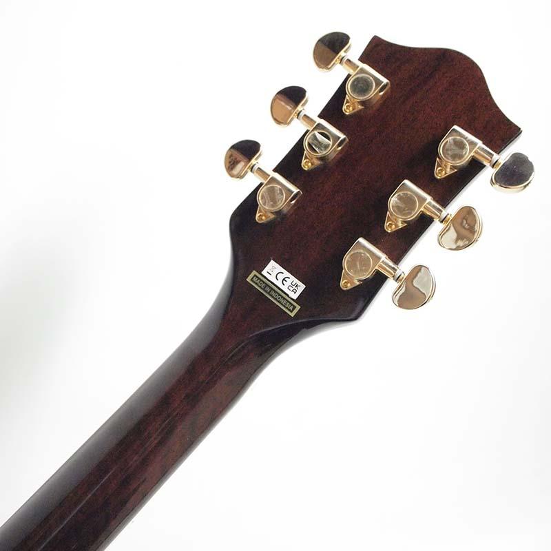 GRETSCH（グレッチ） GRETSCH G5024E Rancher Dreadnought Electric