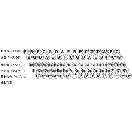 TOMBO 独奏アコーディオン J-80〈トンボ〉の画像