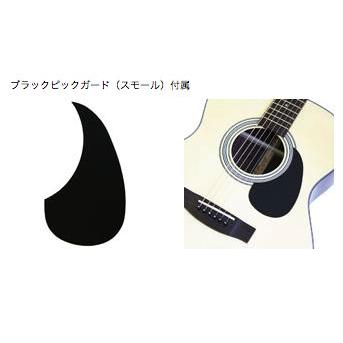 ARIA AF-201 アコースティックギター〈アリア〉 : 楽器de元気 - 通販