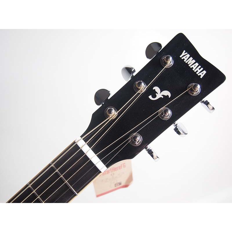 YAMAHA（ヤマハ） YAMAHA FS820 ターコイズ(TQ) アコースティック