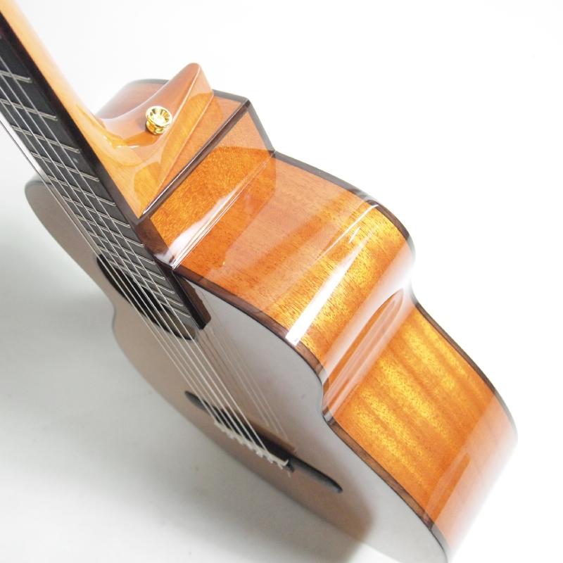 s*h様 aNueNue Bird L 100 エレアコ aNueNue Bird Guitar Series aNN-MN14E エレガットモデル アヌエヌエ