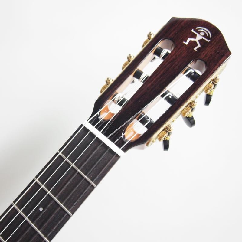 aNueNue Bird Guitar Series aNN-MN14E エレガットモデル アヌエヌエ