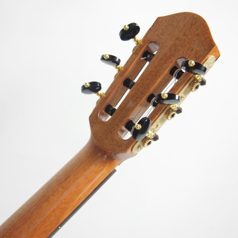 aNueNue Bird Guitar Series aNN-MN14E エレガットモデル アヌエヌエ