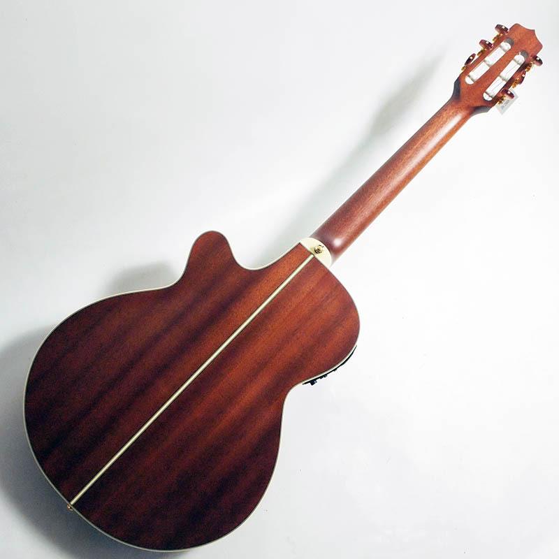 Takamine TSP148NC NS エレガット 100シリーズ Thinline【タカミネ