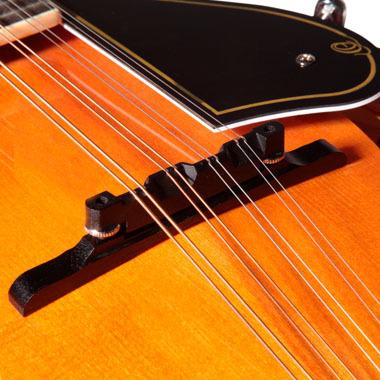 ORTEGA RMFE40SBK F-STYLE MANDOLIN マンドリン〈オルテガ〉 : 楽器de