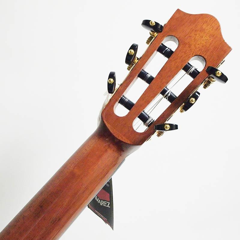 Martinez MP-14 Maple-Artist エレガット〈マルティネス〉 : 楽器de
