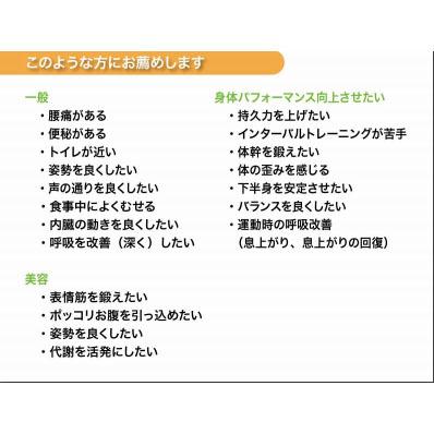 オート ブレスホーム ブレストレーナー 呼吸トレーニング : 楽器de元気