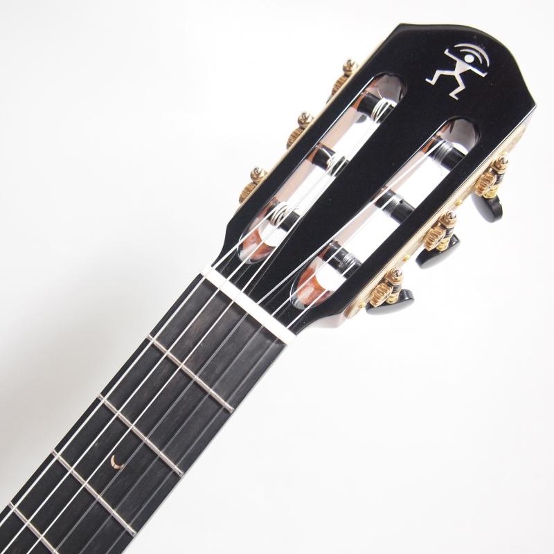 aNueNue aNN-MN214E Bird Guitar Nylon エレガットモデル アヌエヌエ