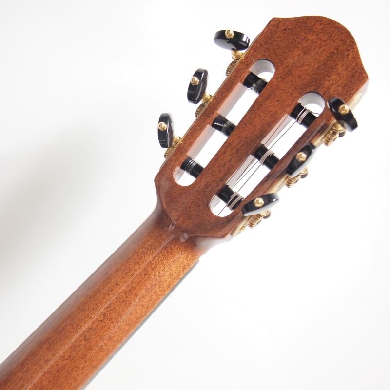 aNueNue aNN-MN214E Bird Guitar Nylon エレガットモデル アヌエヌエ