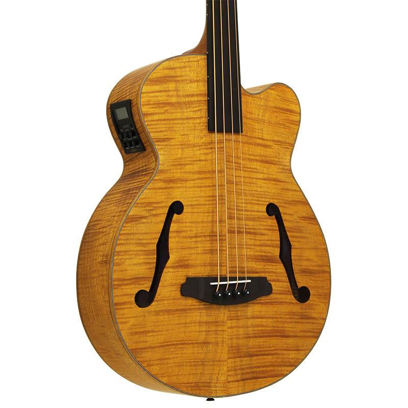 ARIA FEB-F2/FL STBR(Stained Brown) フレットレスエレアコベース
