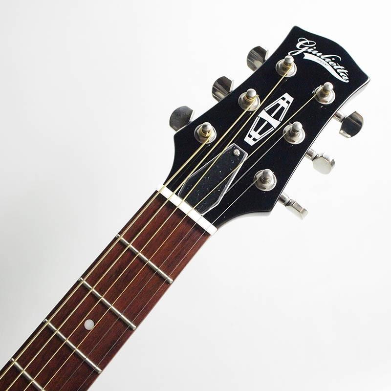 VOX GIULIETTA VGA-3PS-Natural ナチュラル アーチトップギター : 楽器