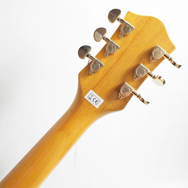 GRETSCH Gretsch G2410TG Streamliner Hollow Body Single-Cut with 