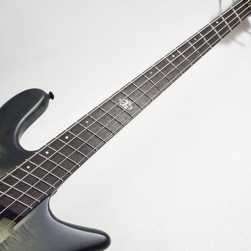 SPECTOR NS Dimension4 Haunted Moss Matte エレキベース