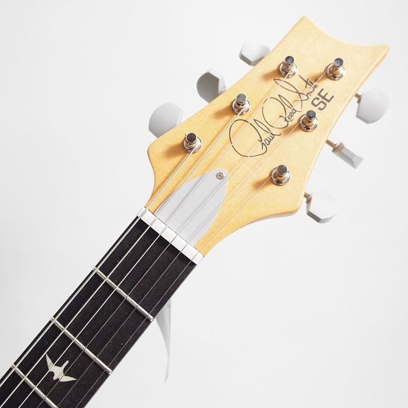 Paul Reed Smith（ポールリードスミス） PRS SE Silver Sky Ever Green