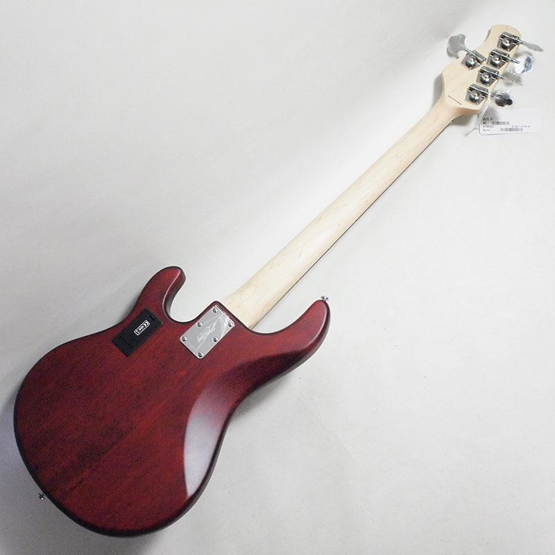 Sterling by Music Man SUB STINGRAY RAY5-WS-R1 Walnut Satin 5弦